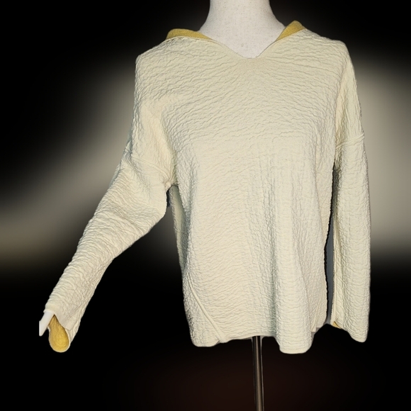 J JILL Reversable Hoodie Sweater Sweatshirt Size S - Picture 1 of 9